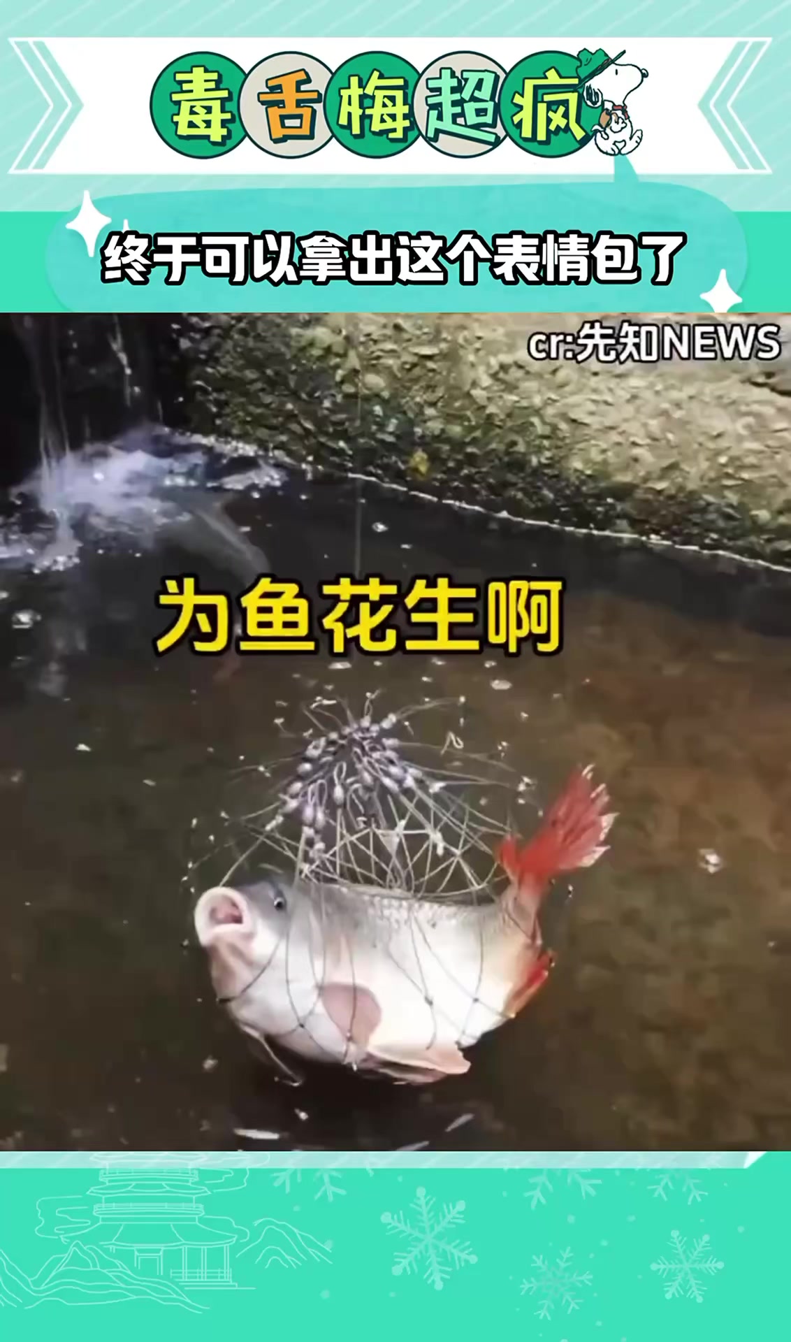 终于可以拿出这个表情包了