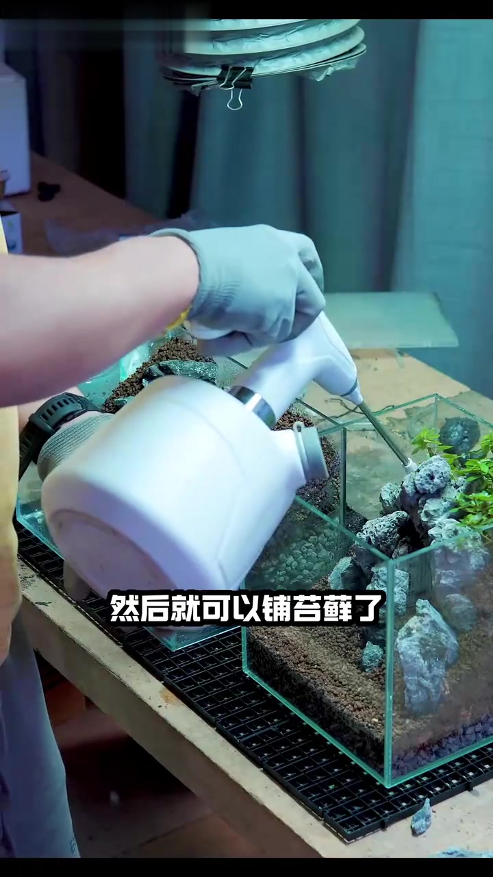 小微景观教程，来一波