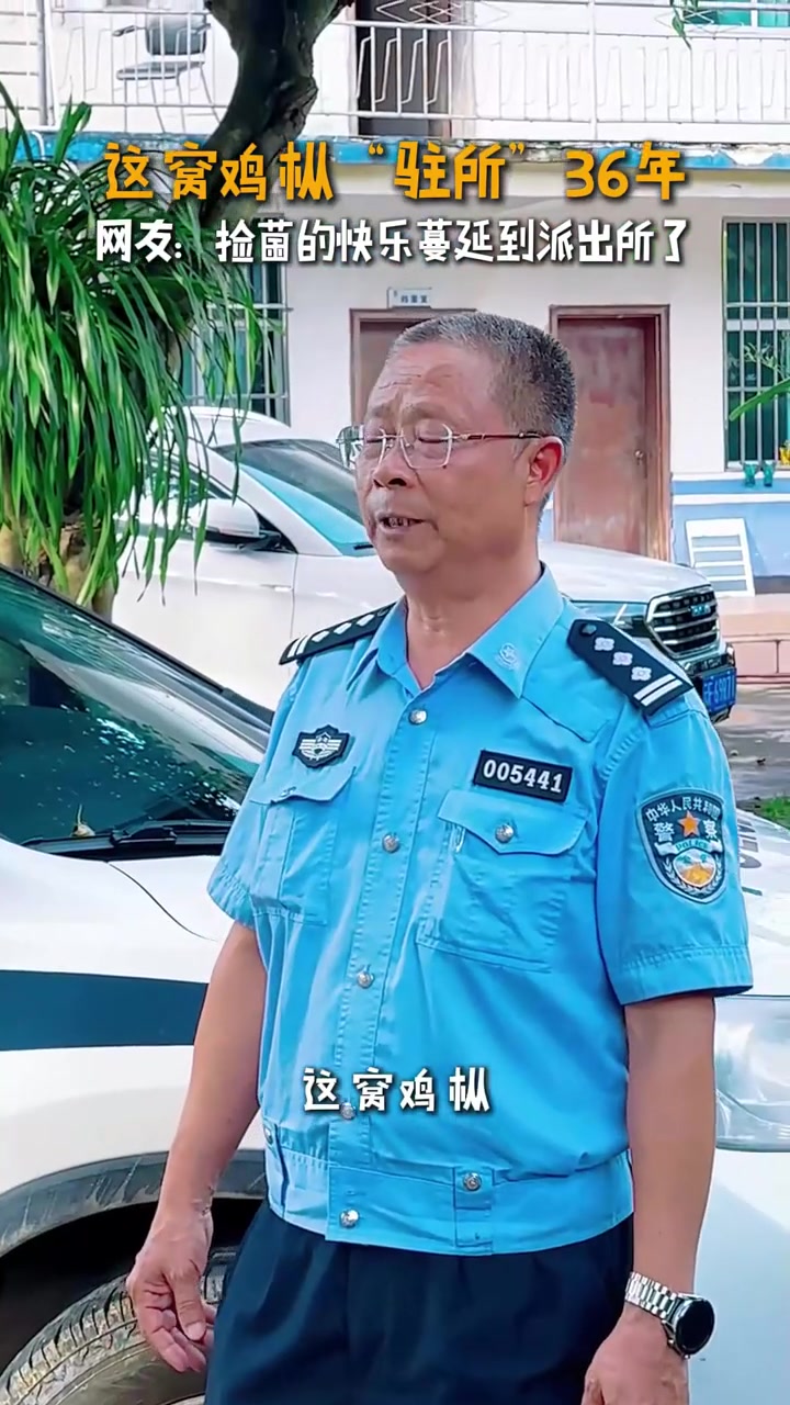 36年！派出所里的这窝鸡枞“驻所”时间比老民警的警龄还长。（来源：）