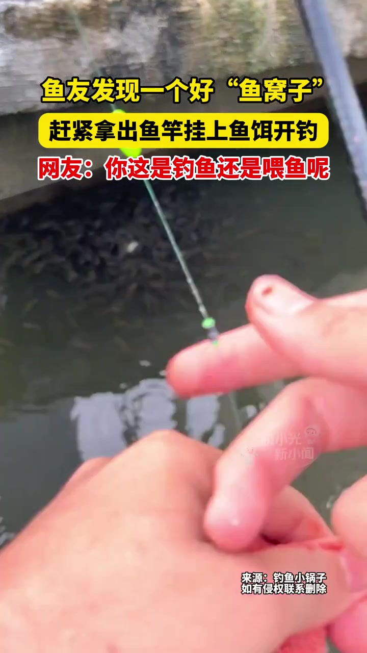 7月14日广东,鱼友发现一个好“鱼窝子”,赶紧拿出鱼竿挂上鱼饵开钓,网友:你这是钓鱼还是喂
