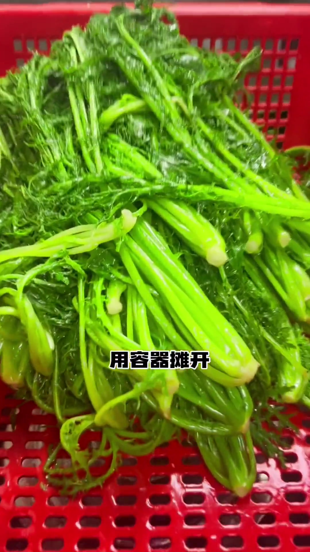 我做新鲜雪里红的方法