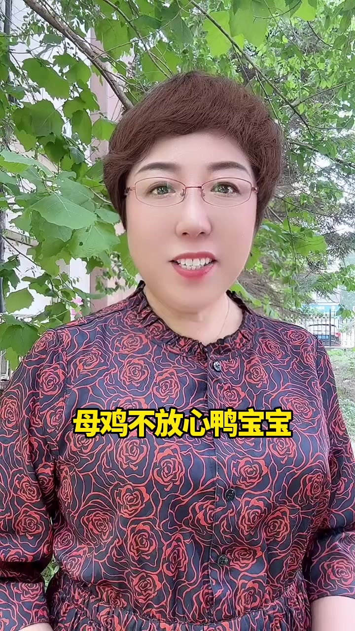 母鸡妈妈带着鸭宝宝