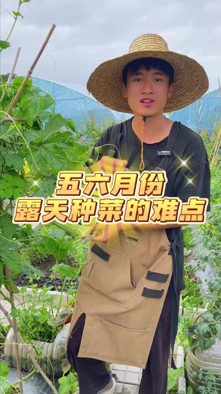 五六月份露天种植的难点有哪些？