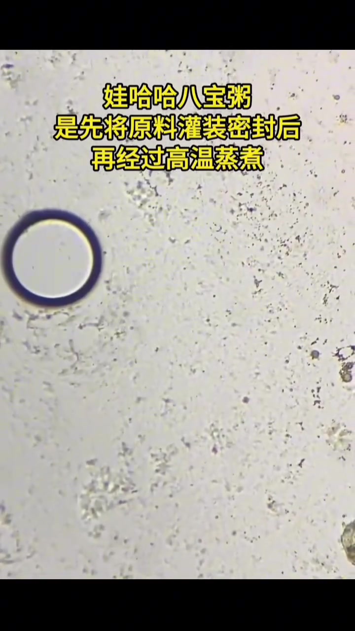 显微镜放大600倍娃哈哈八宝粥