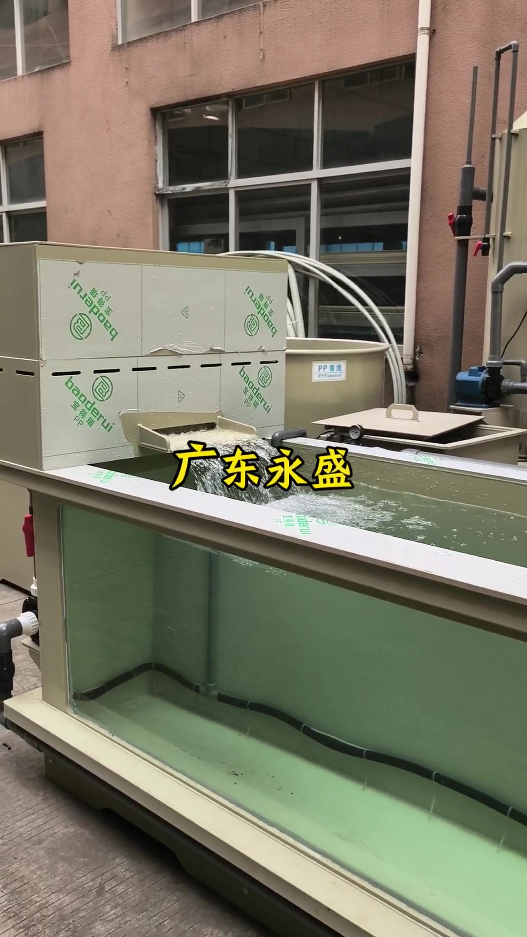 2*1*1迷你庭院鱼池#庭院鱼池#过滤系统#源头厂家直供