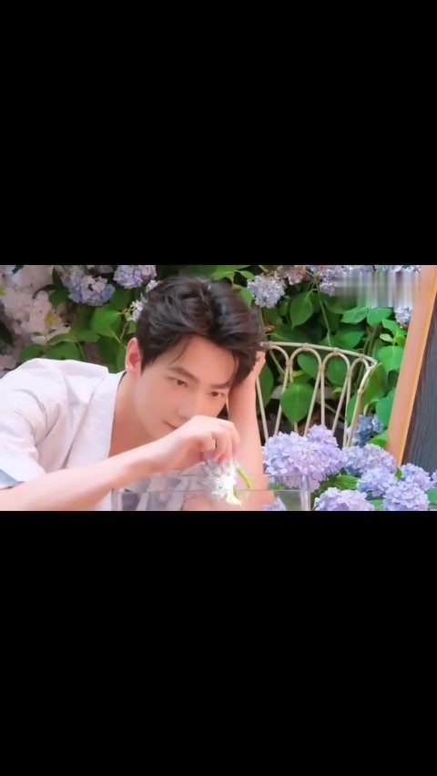 绣球与金鱼相映成趣