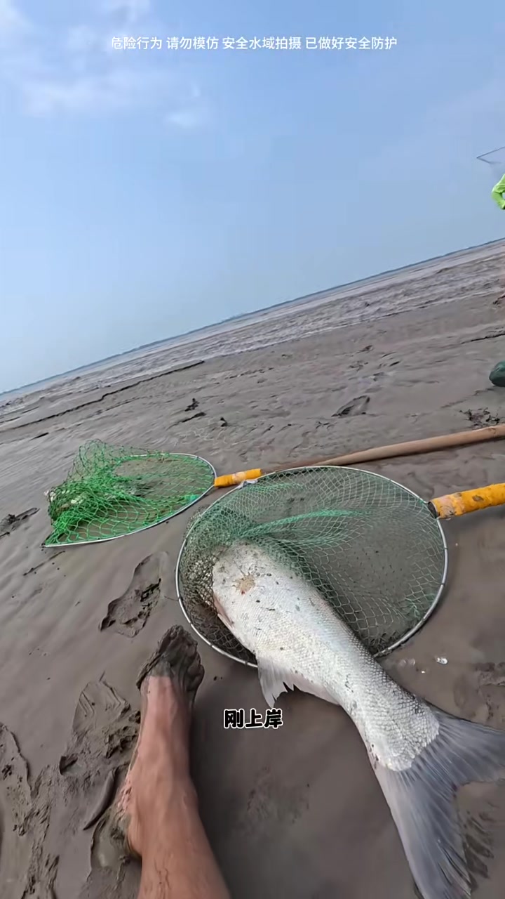 重达50斤的巨型大青鱼！