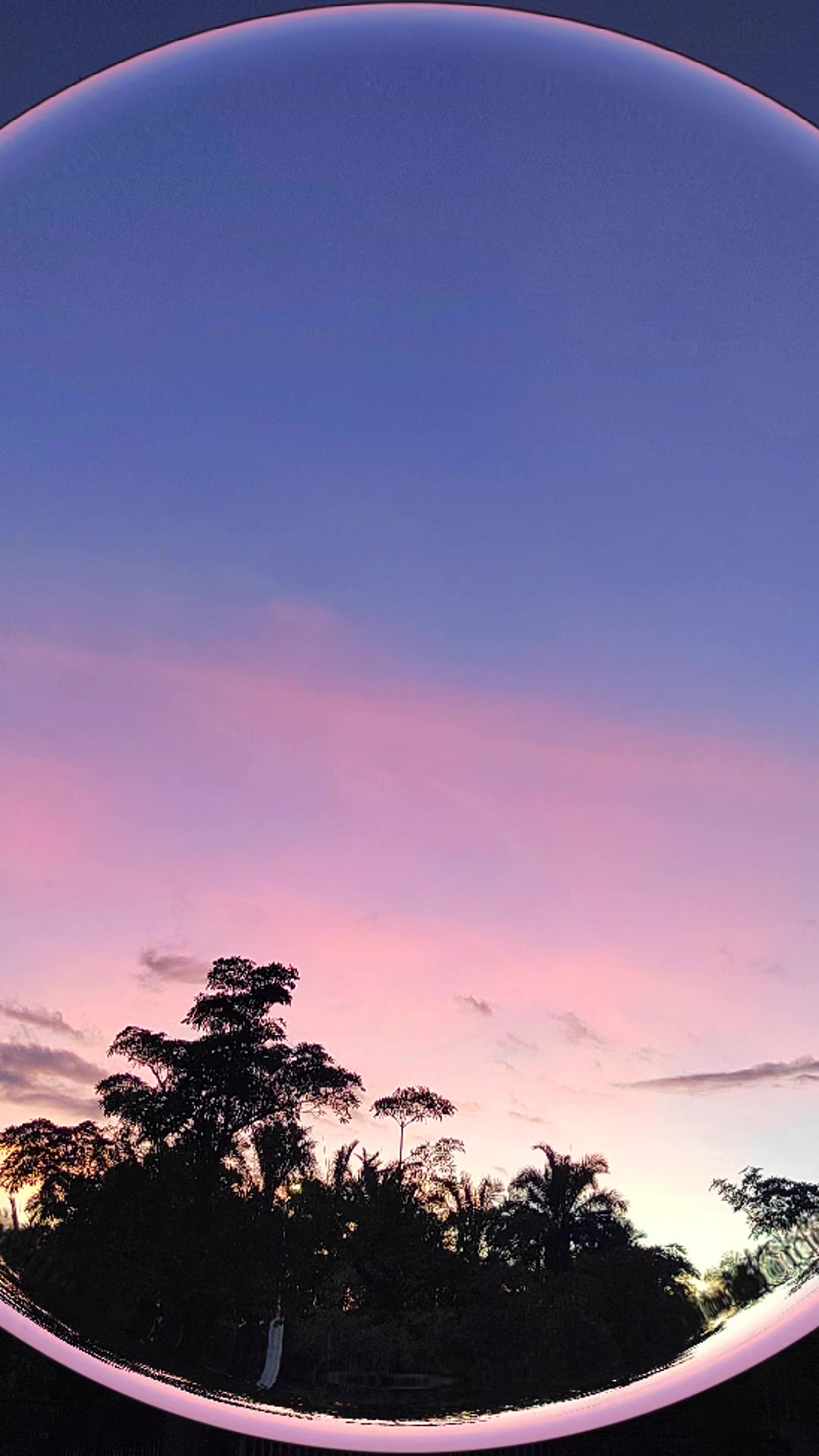 今日入伏,愿你在炽热夏日,被清凉与美好环绕,早安～