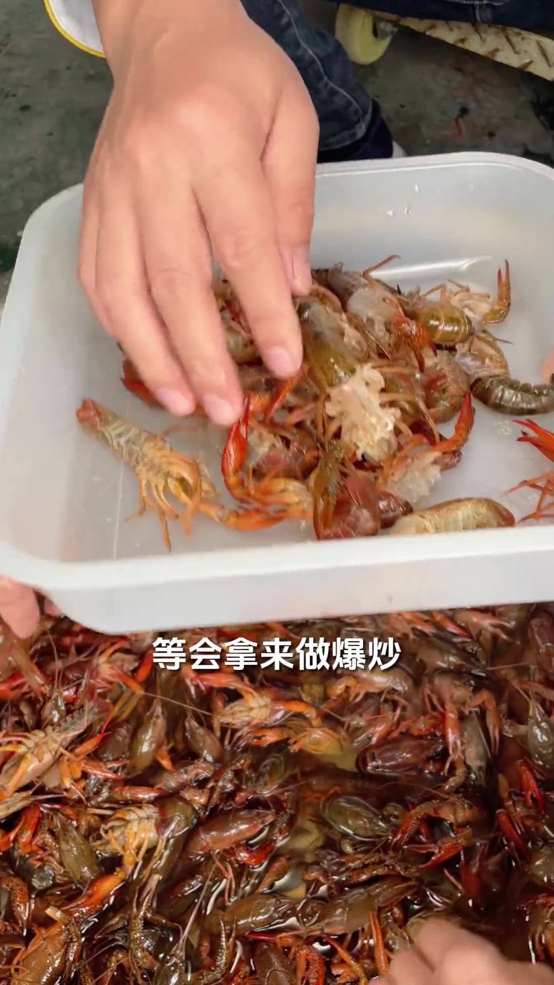 今日备20斤鲜活小龙虾，为神秘客户展示