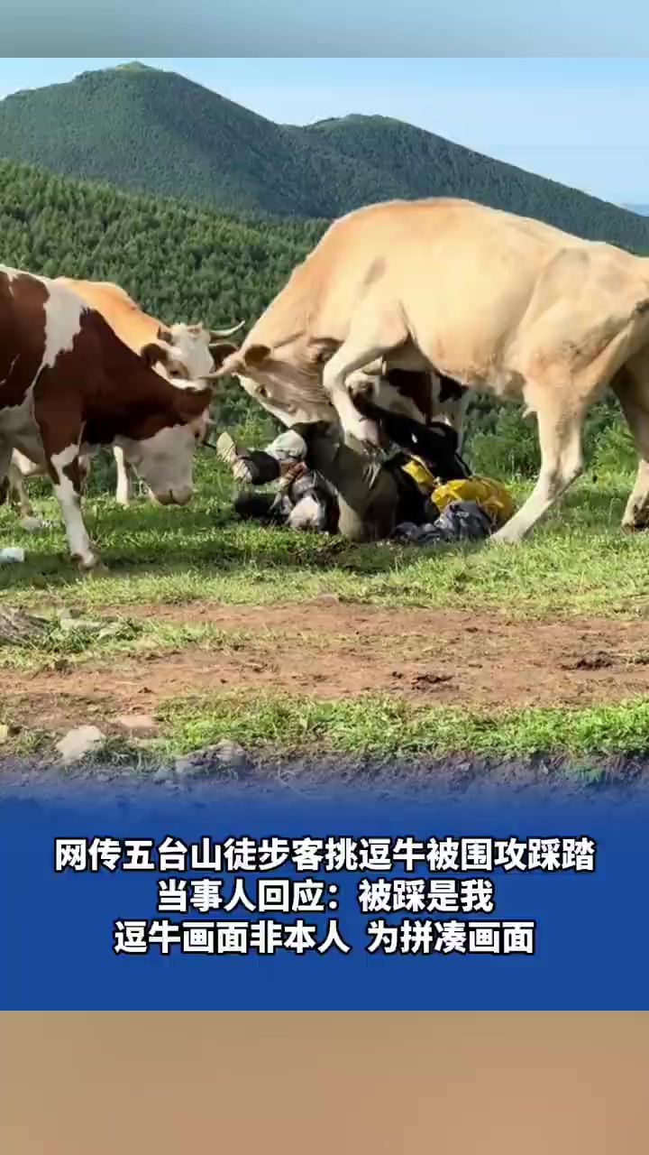 「网传五台山徒步客挑逗牛被围攻踩踏,当事人回应:被踩是我,逗牛画面非本人,为拼凑画面」近日