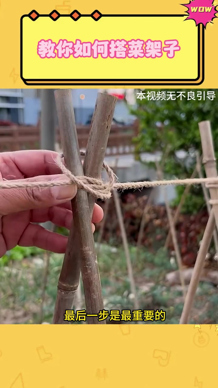 教你如何搭菜架子
