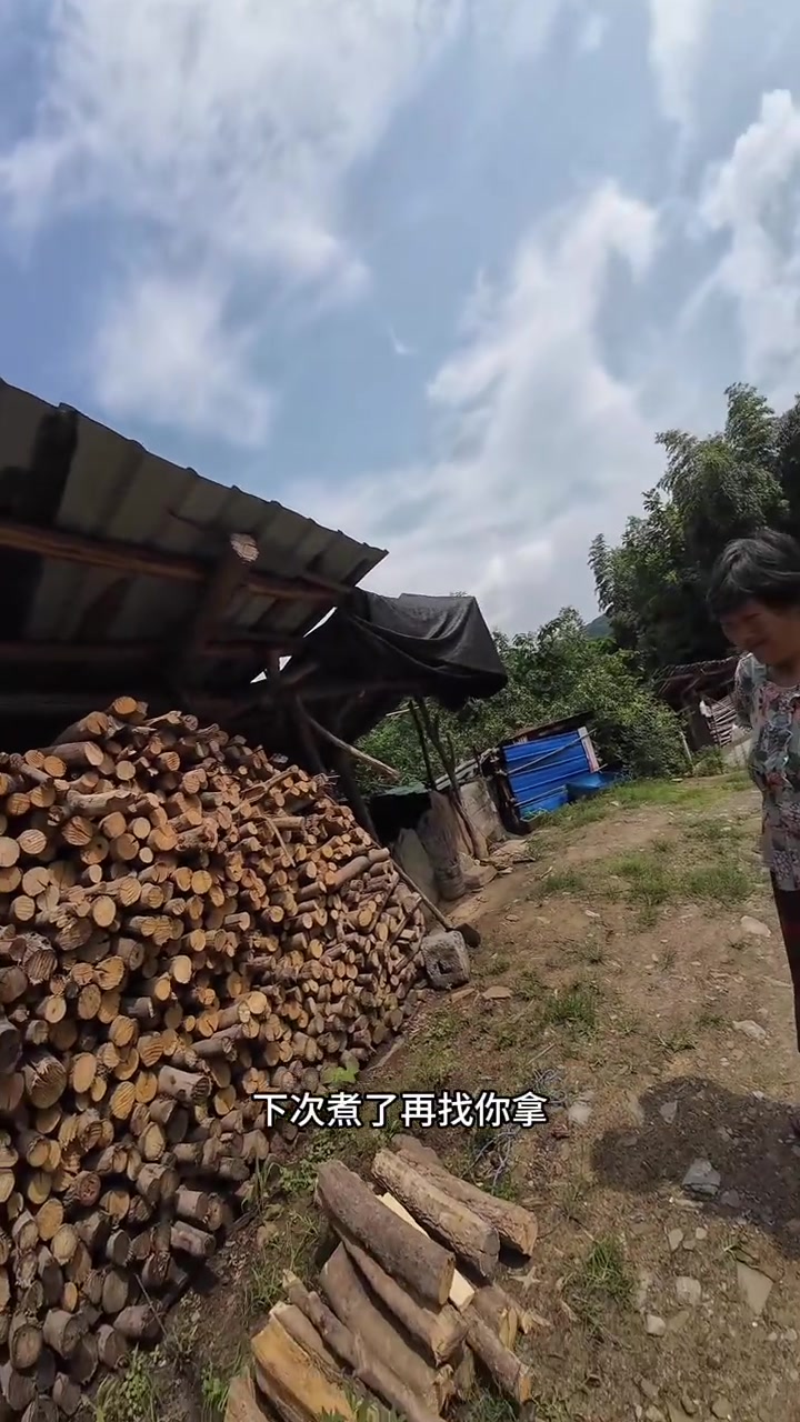 寻找巨草巨鳙十堰站，这里的鱼情能否实现我的目标？