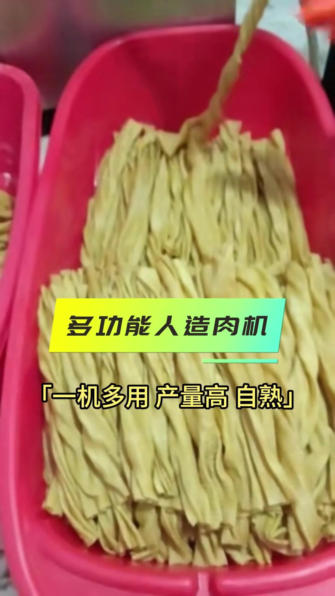 多功能人造肉机，一机多用 产量高 自熟