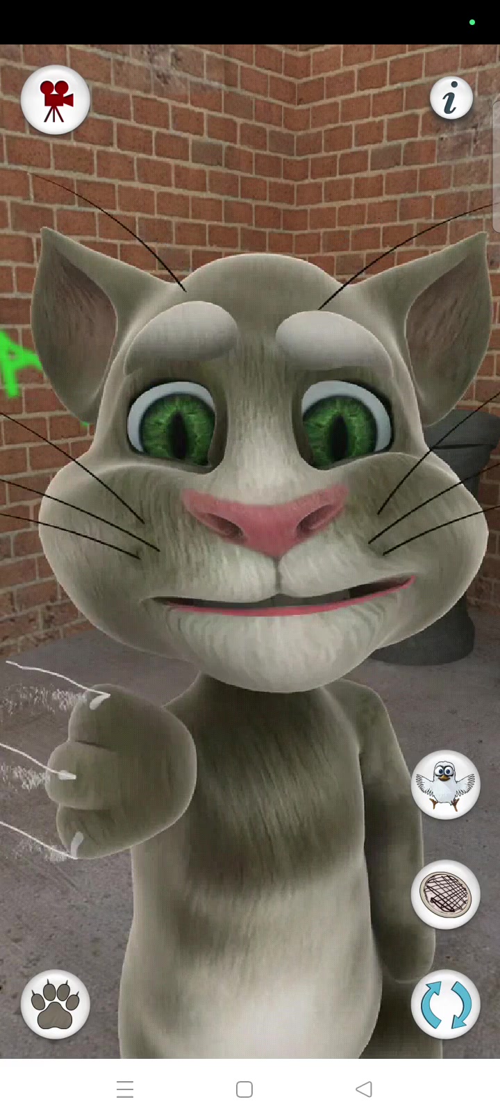 会说话的汤姆猫老版本