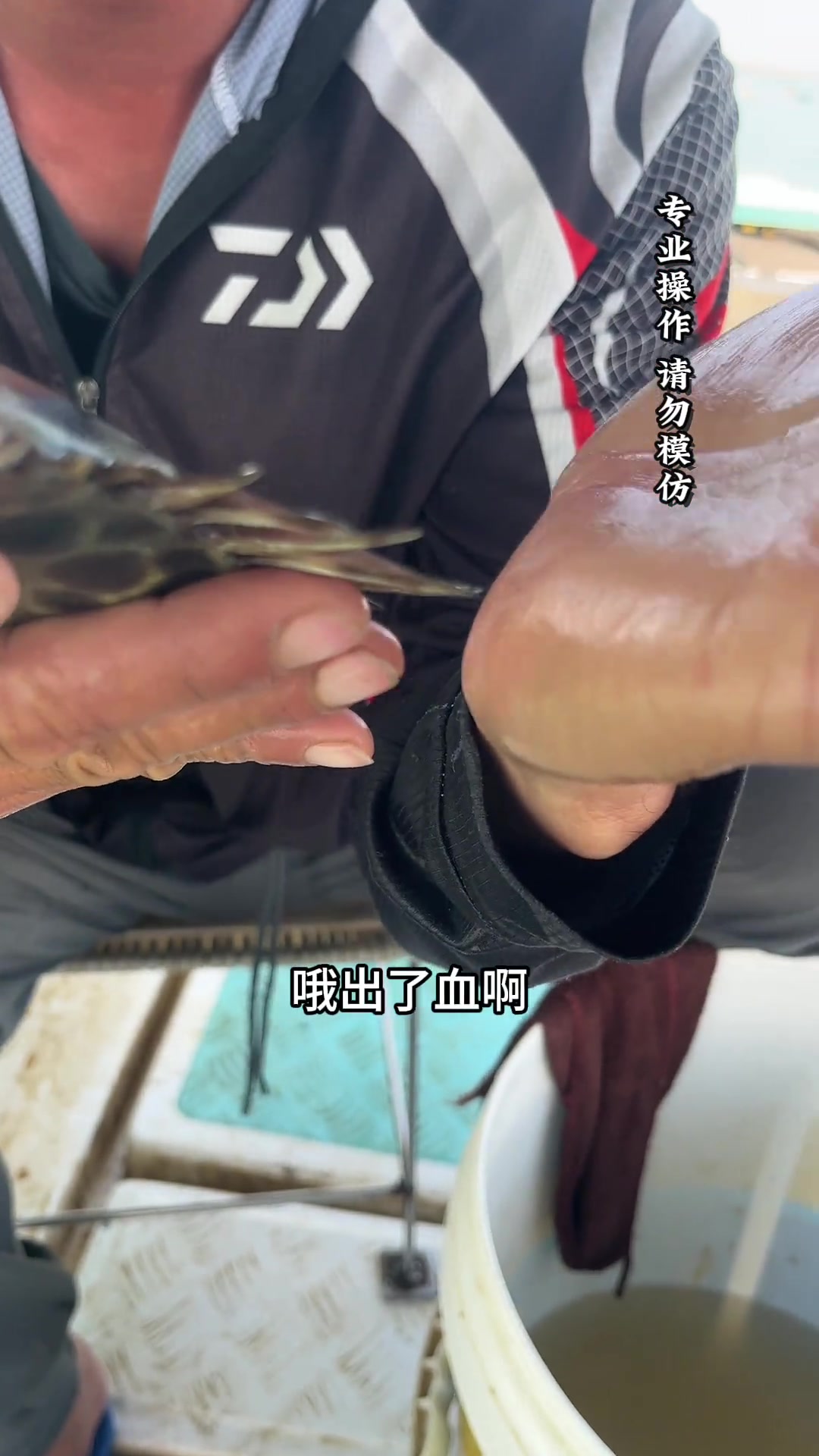 被金鼓鱼扎到，会有多痛，该如何处理