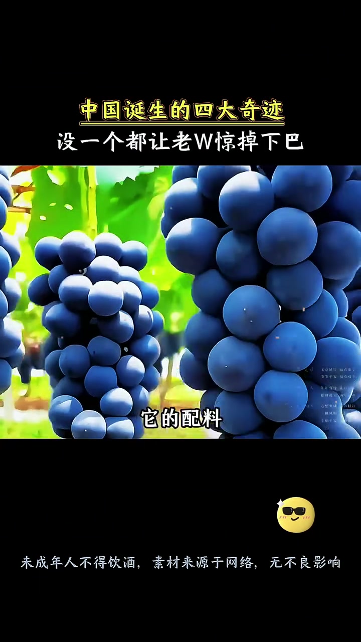 宁夏贺兰山东麓葡萄酒