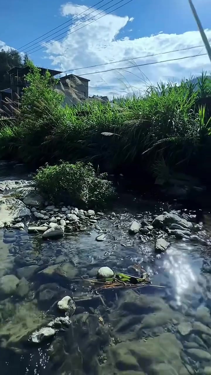 浅水钓溪石斑 找有障碍物的位置 离远点 效果真不错!溪流钓 溪石斑 钓溪石斑鱼的方法和技巧