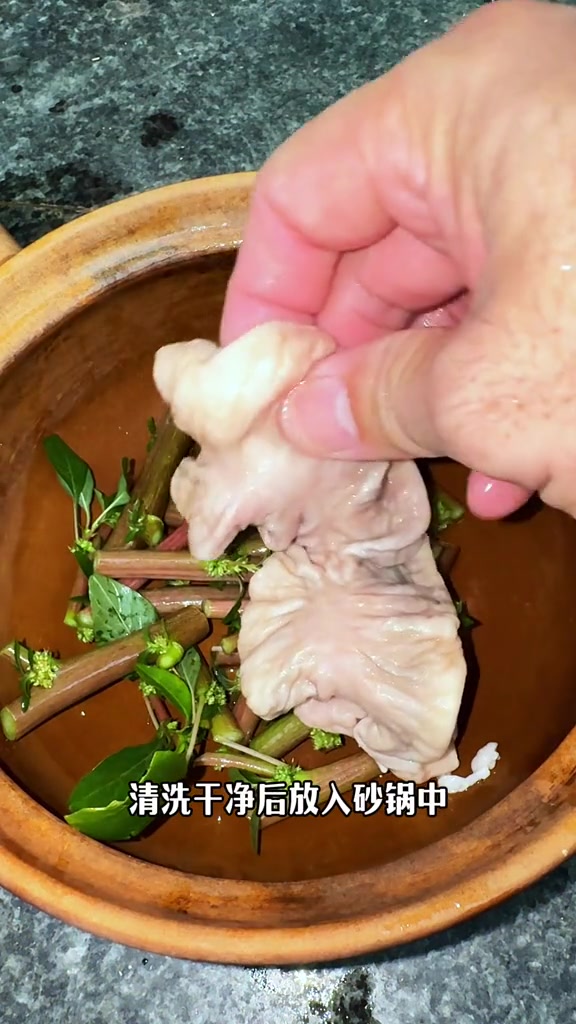 刺苋菜又叫猪母刺簕苋菜等，路边地里常见，你了解这种植物吗？