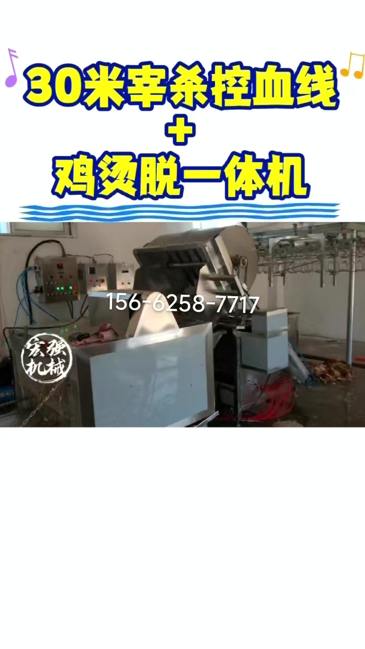 小型杀鸡流水线设备 全自动鸡脱毛机