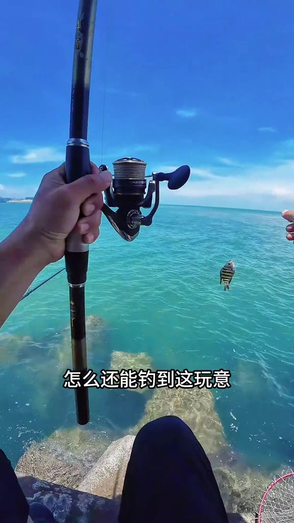 手线收获收杆鱼，体验海钓乐趣