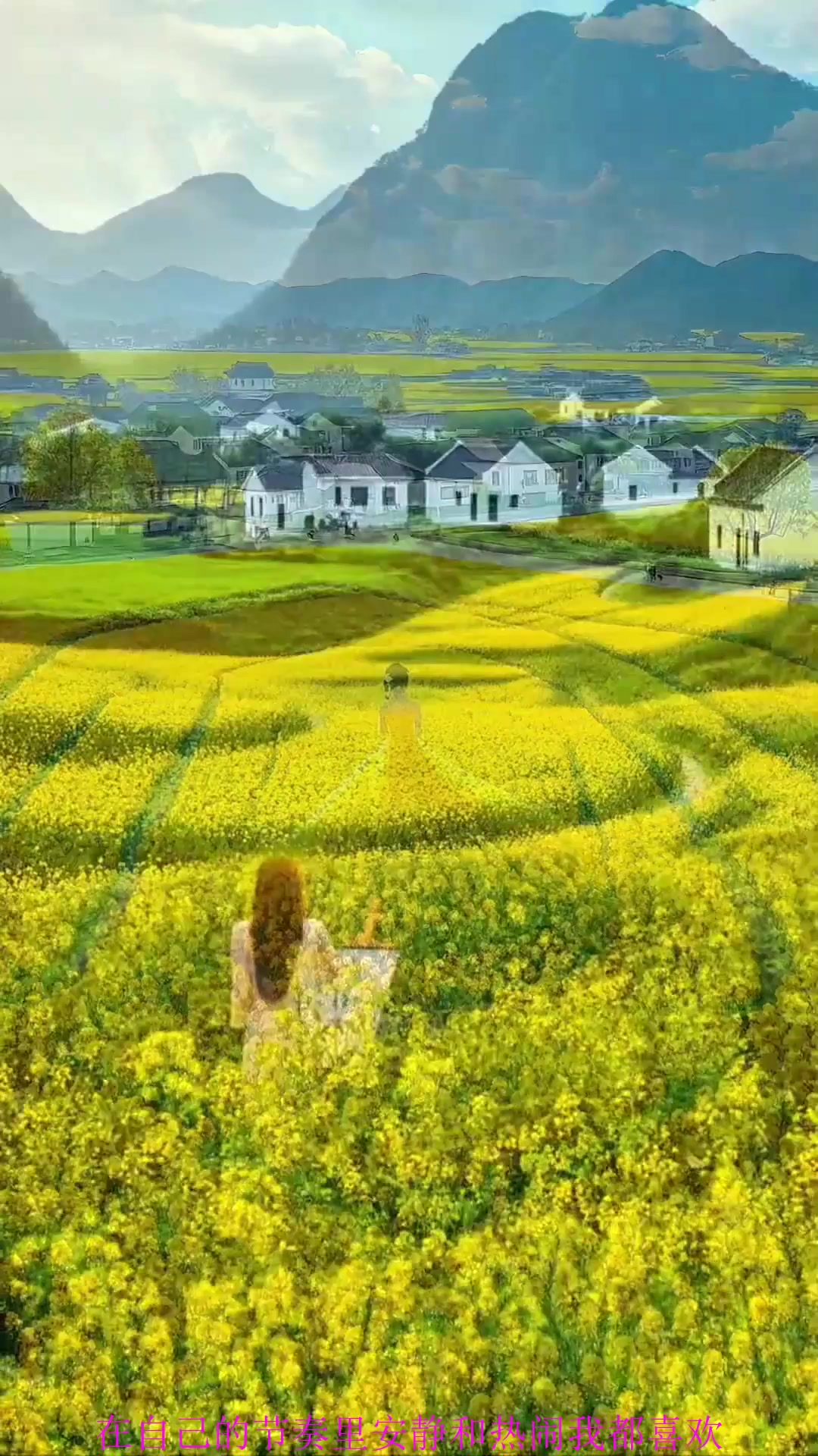 夏日旅游,《人生好似一幅画》金黄的油菜花像波浪一样的起伏