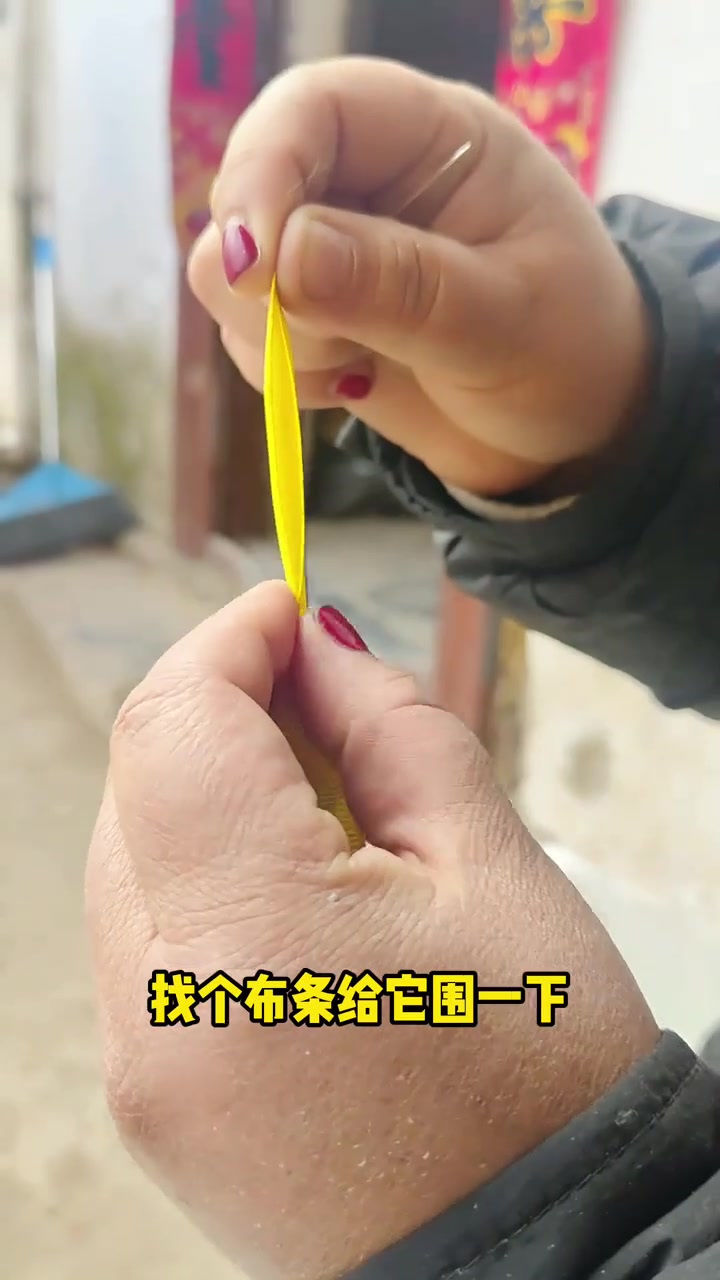 给小阳阳缝个春鸡，也祝大家逢凶化吉