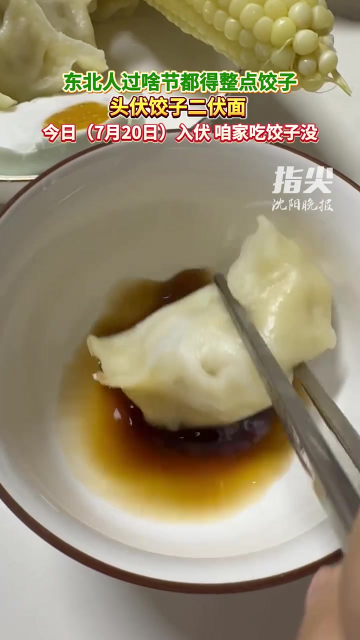 东北人过啥节都得整点饺子 头伏饺子二伏面 今日(7月20日)入伏 咱家吃饺子没(编辑 董力