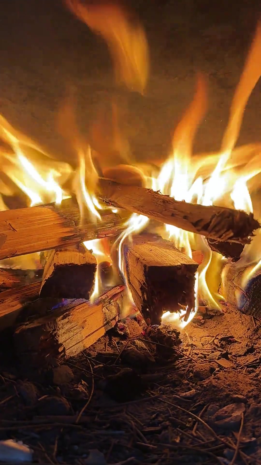 奶奶养了半载的“战斗鸡”被我追着满院跑，最后变成了新疆大盘鸡，炖出了一锅家的味道！