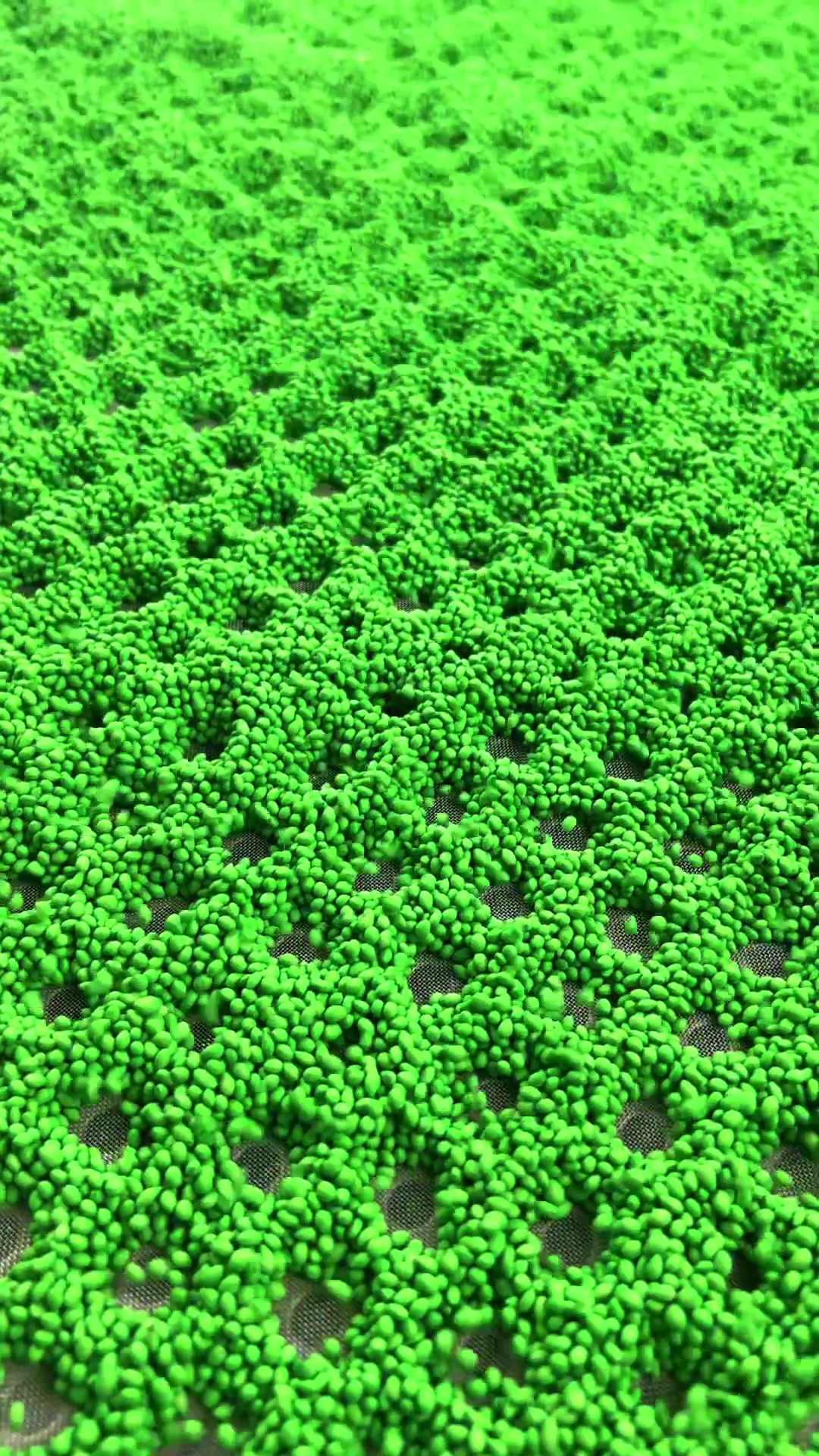 种子丸粒化打通蔬菜精播大门!省种省工