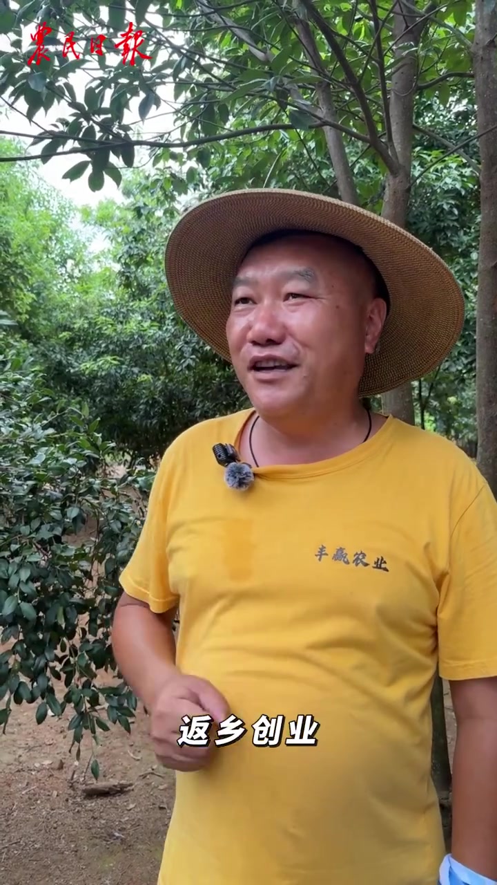 「泰和乌鸡养殖|亩均增收3万元的秘密」百元一只的泰和乌鸡究竟贵在哪?跟着记者的脚步探访江西