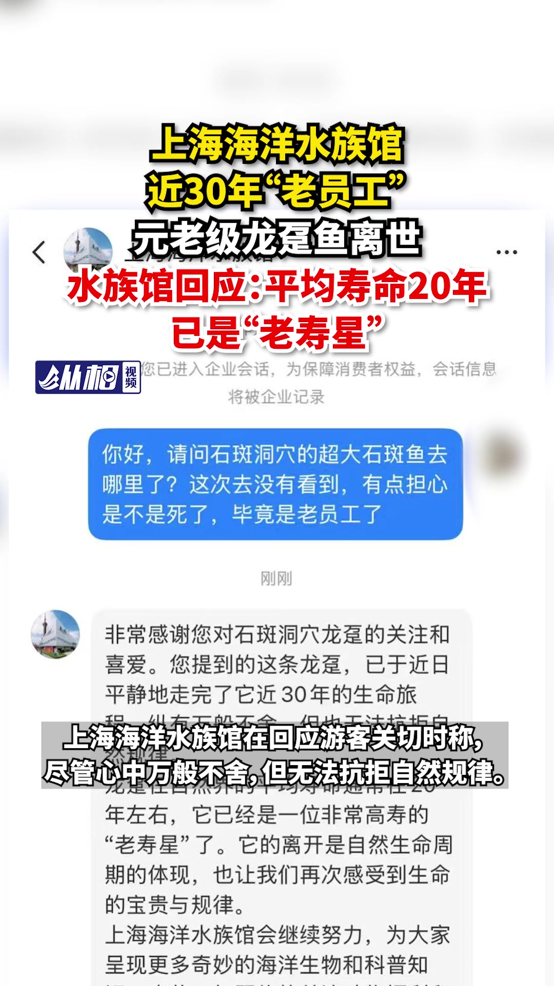 上海海洋水族馆近30年“老员工”元老级龙趸鱼离世,水族馆回应:平均寿命20年,已是“老寿星