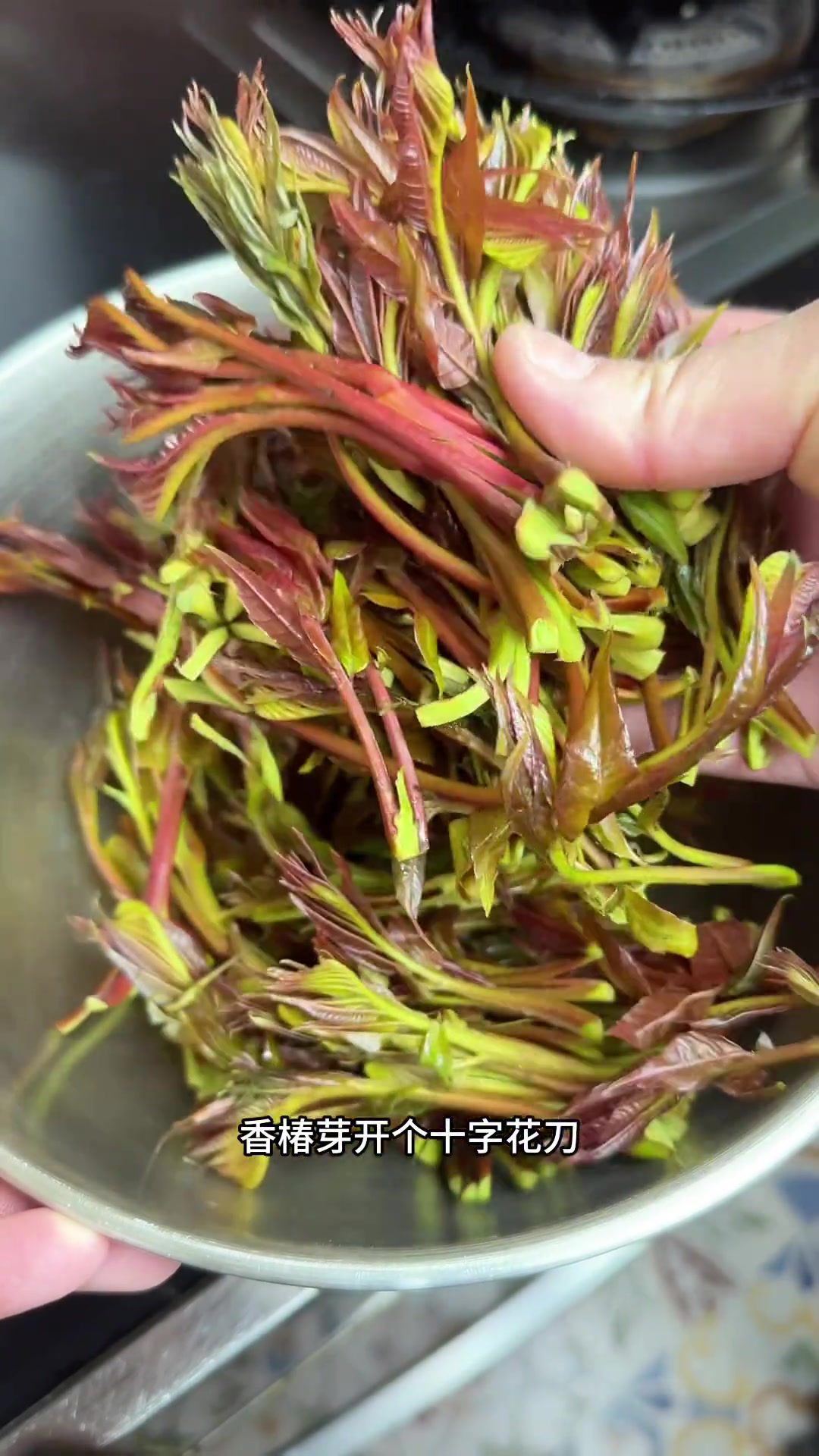 地道云南菜系之「宣威火腿炒香椿」