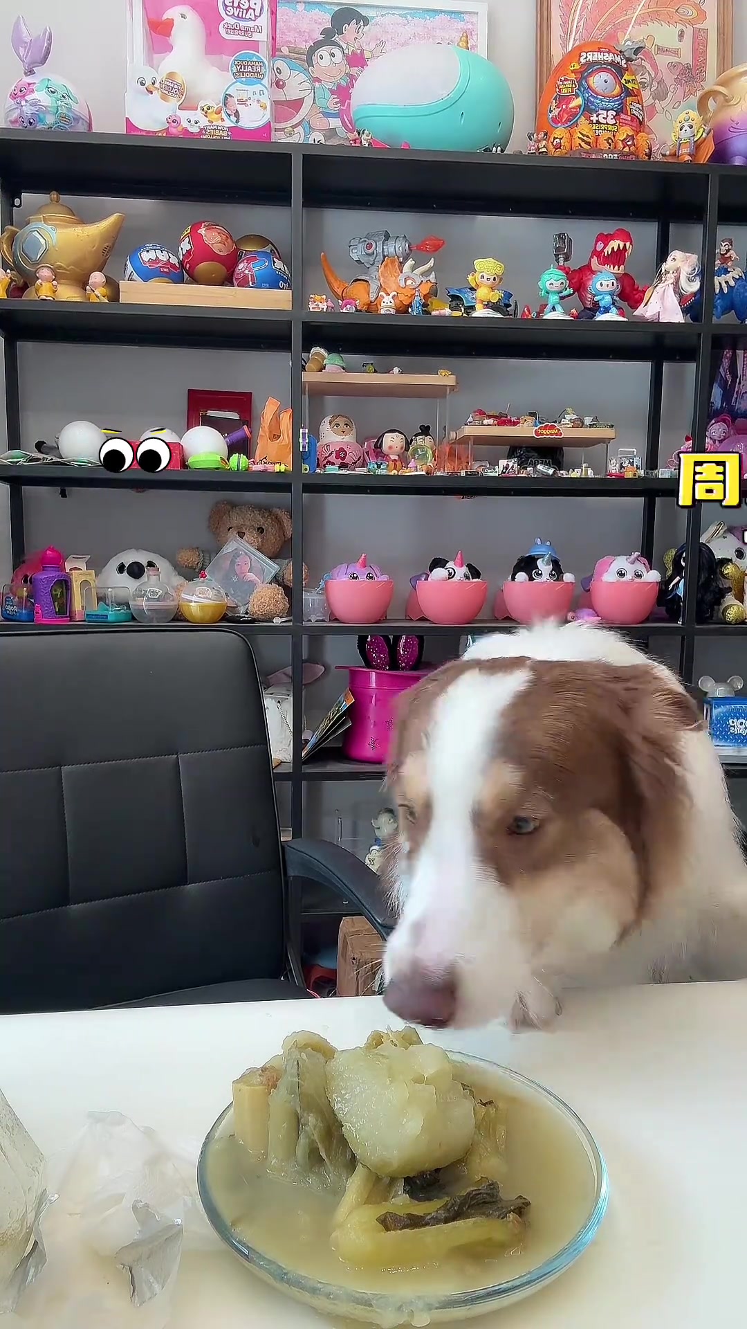 测评宁波山抽臭冬瓜臭菜根，味道居然还能接受？