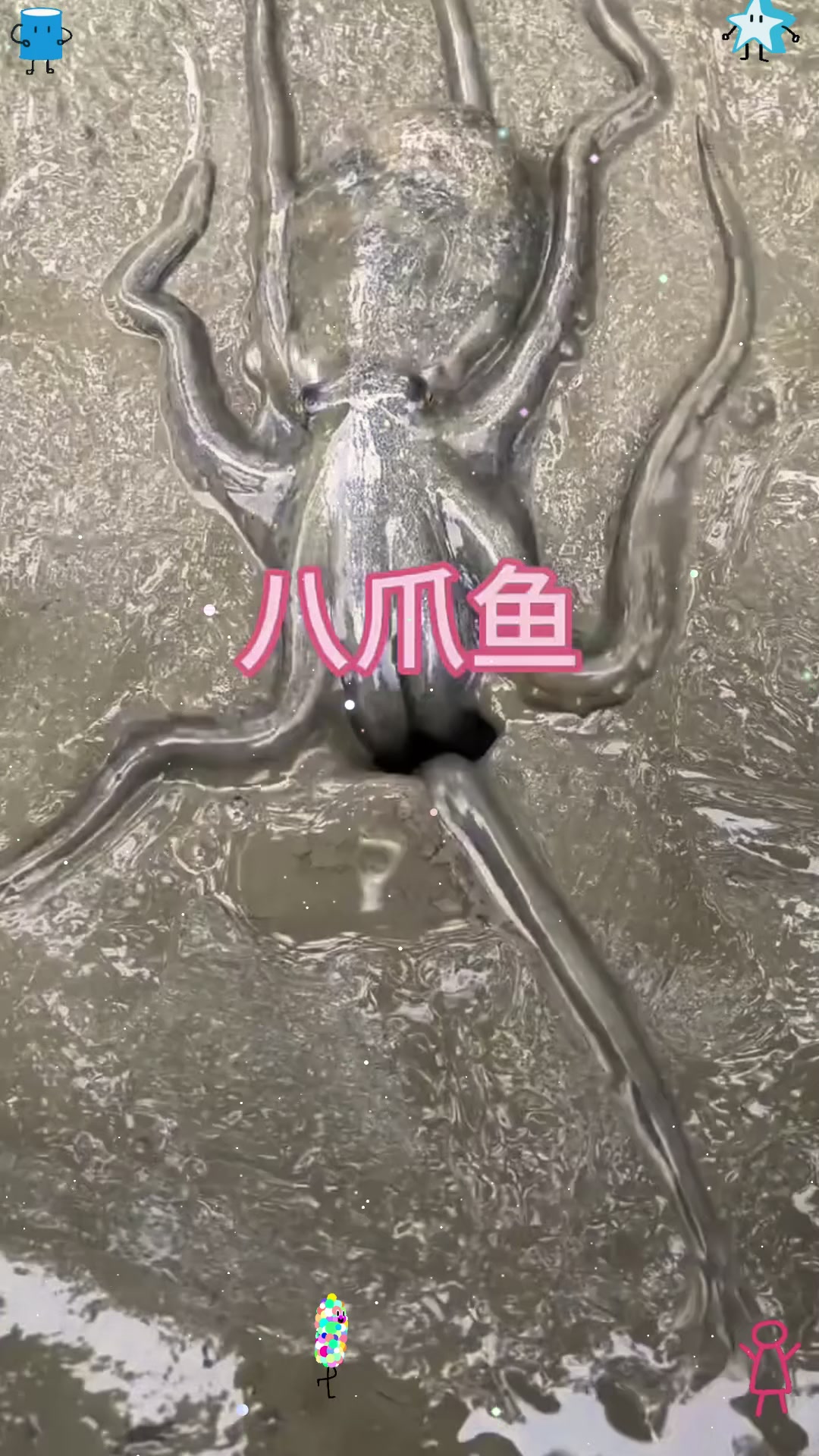 原来八爪鱼是生活在地下的呀