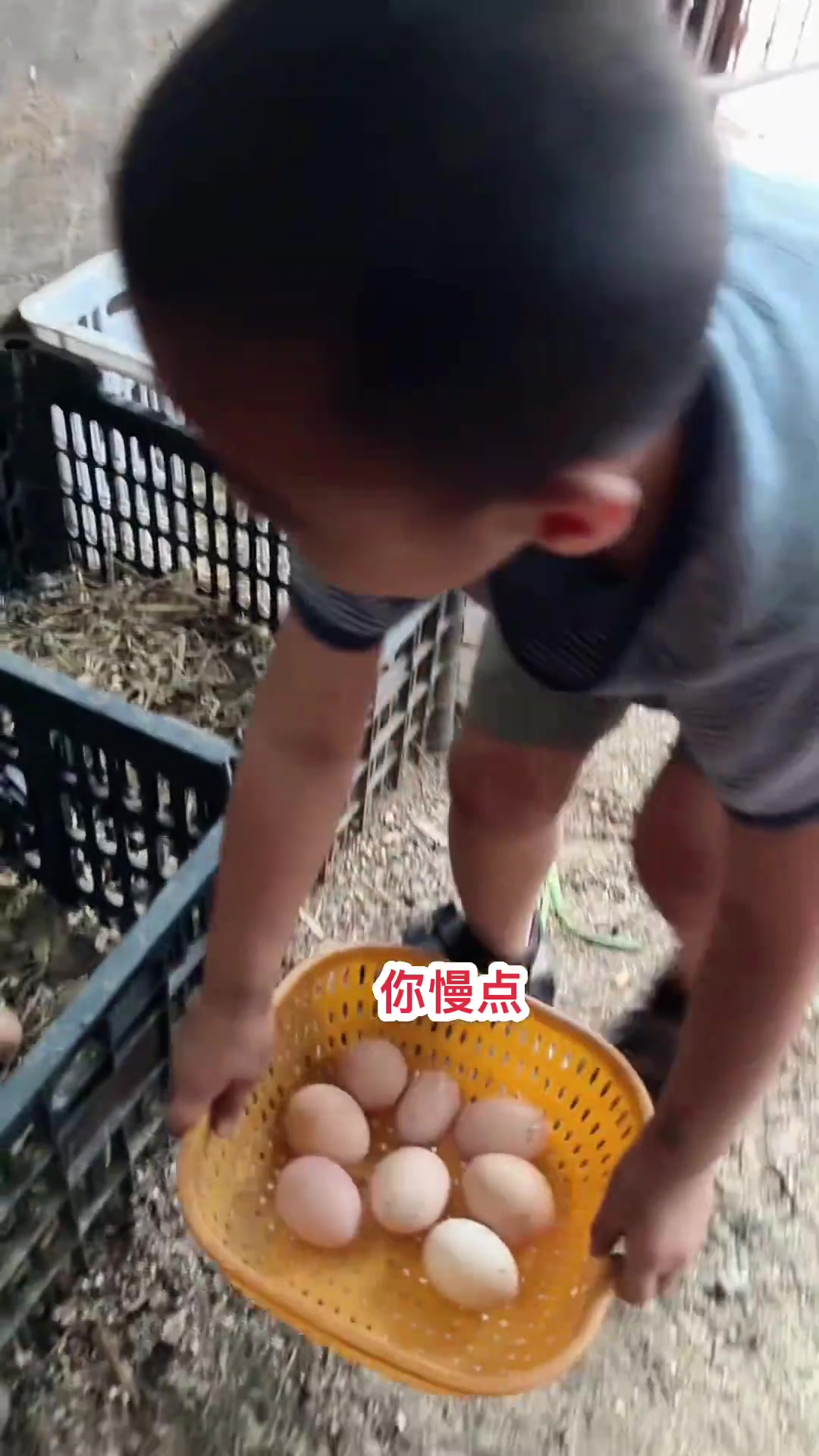哈哈,每天的快乐停不下来,农家新鲜土鸡蛋