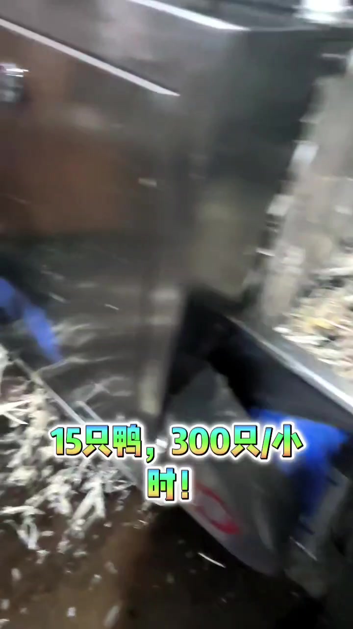 鸡鸭鹅通杀!全自动浸烫机,300只鸭/小时不是吹!