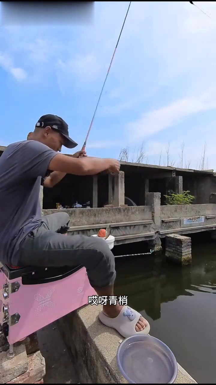 房顶钓鱼第一天：鱼获很好，黑暗料理很美味