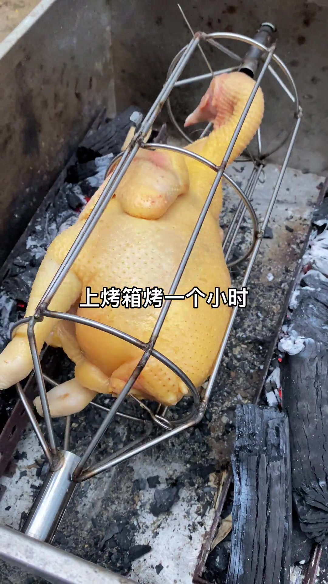 今天小姨子生日没提前准备菜，烤了一只鸡