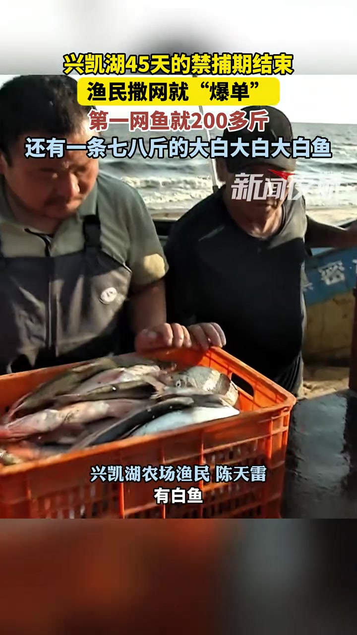 7月23日(发布),黑龙江鸡西。兴凯湖45天的禁捕期结束,渔民撒网就“爆单”,第一网鱼就2