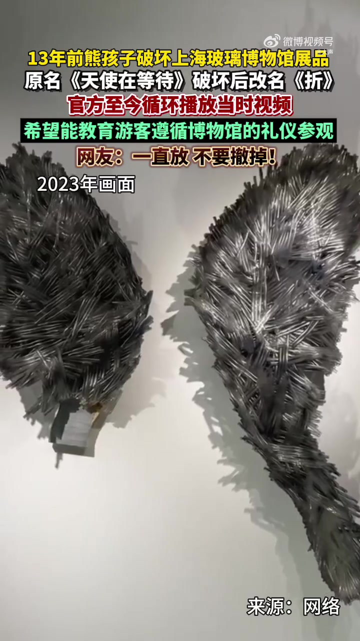 2013年上海玻璃博物馆两位小观众翻越围栏,用力拉扯、摇晃下挂在展墙上的一件艺术品。监控画