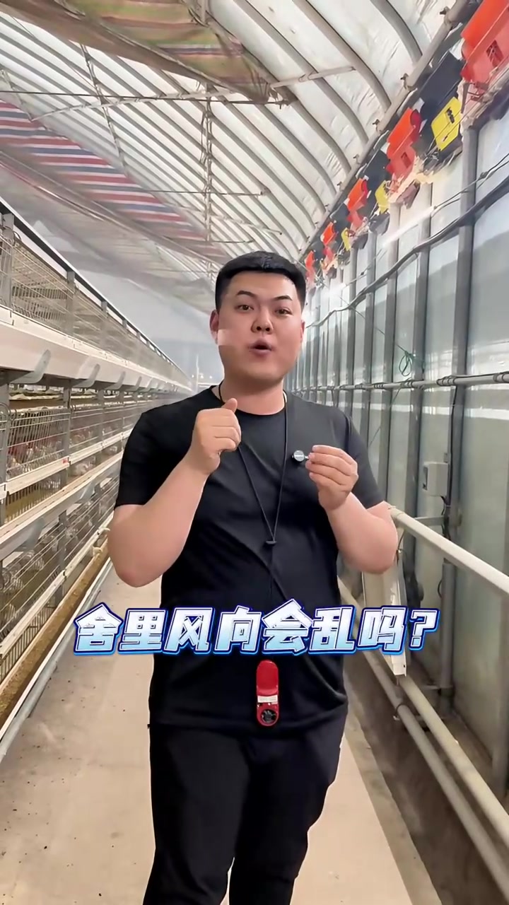 笼养肉鸡舍，小窗安装的比较多，春秋通风更有优势！