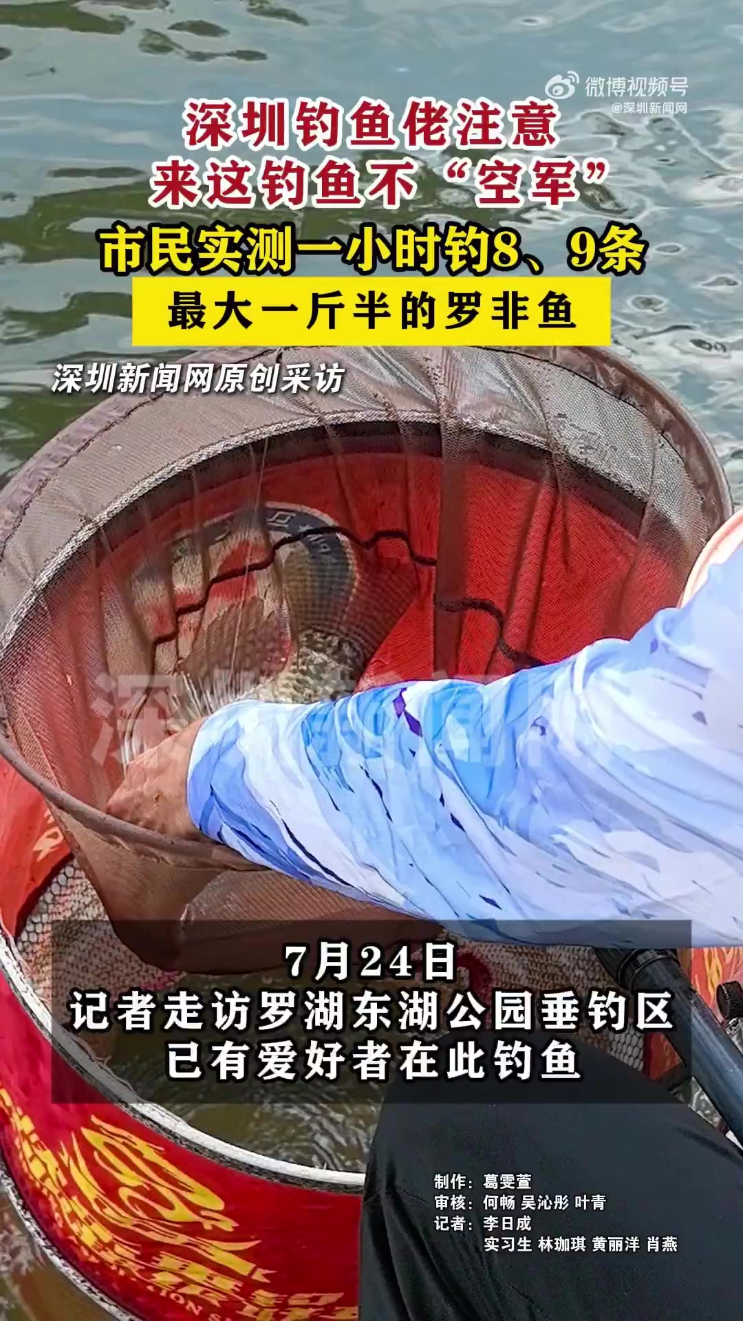 「深圳钓鱼佬来这钓鱼不“空军”」深圳公园一小时钓八条鱼 今年6月,深圳规划在有条件的公园、