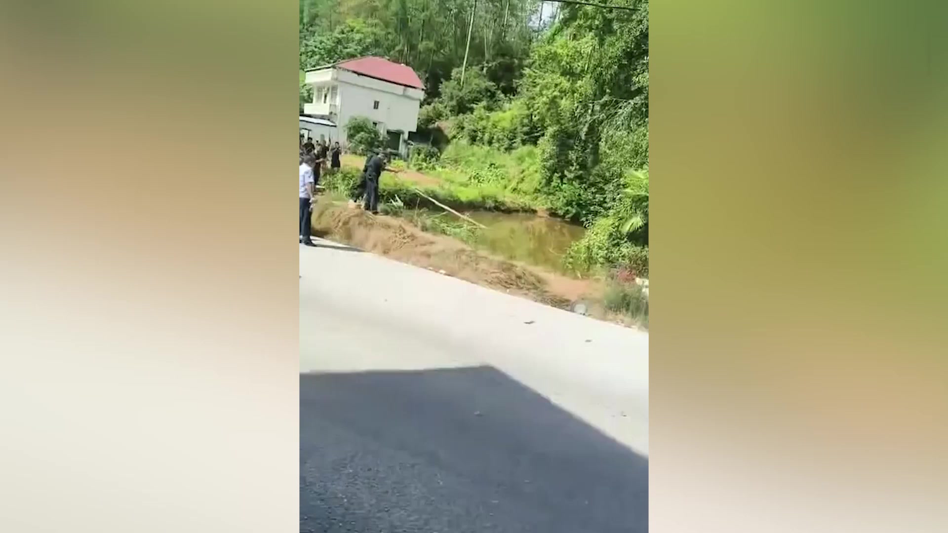 九江一景区4条鳄鱼出逃被特警击毙 目击者:太凶猛抓不到