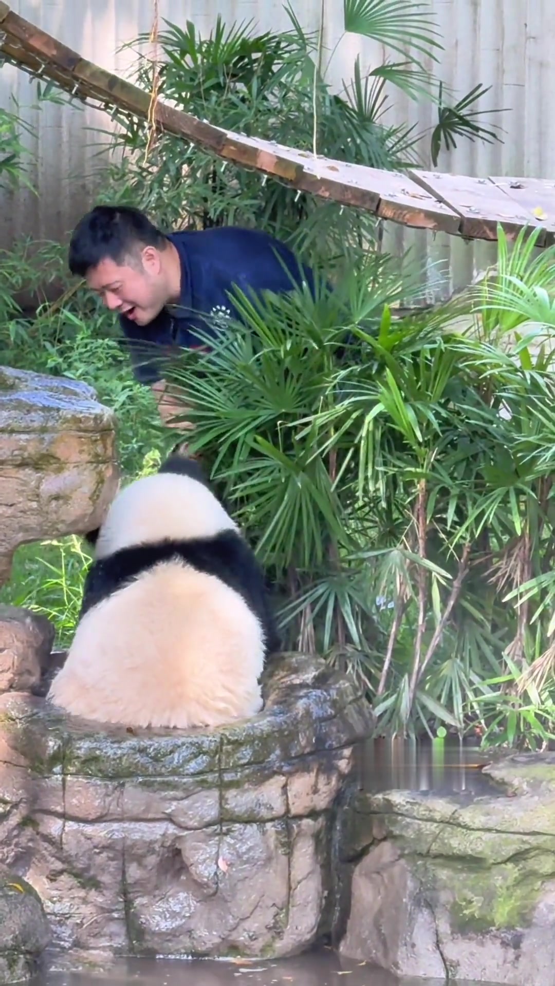 原来墩墩也有可爱一面