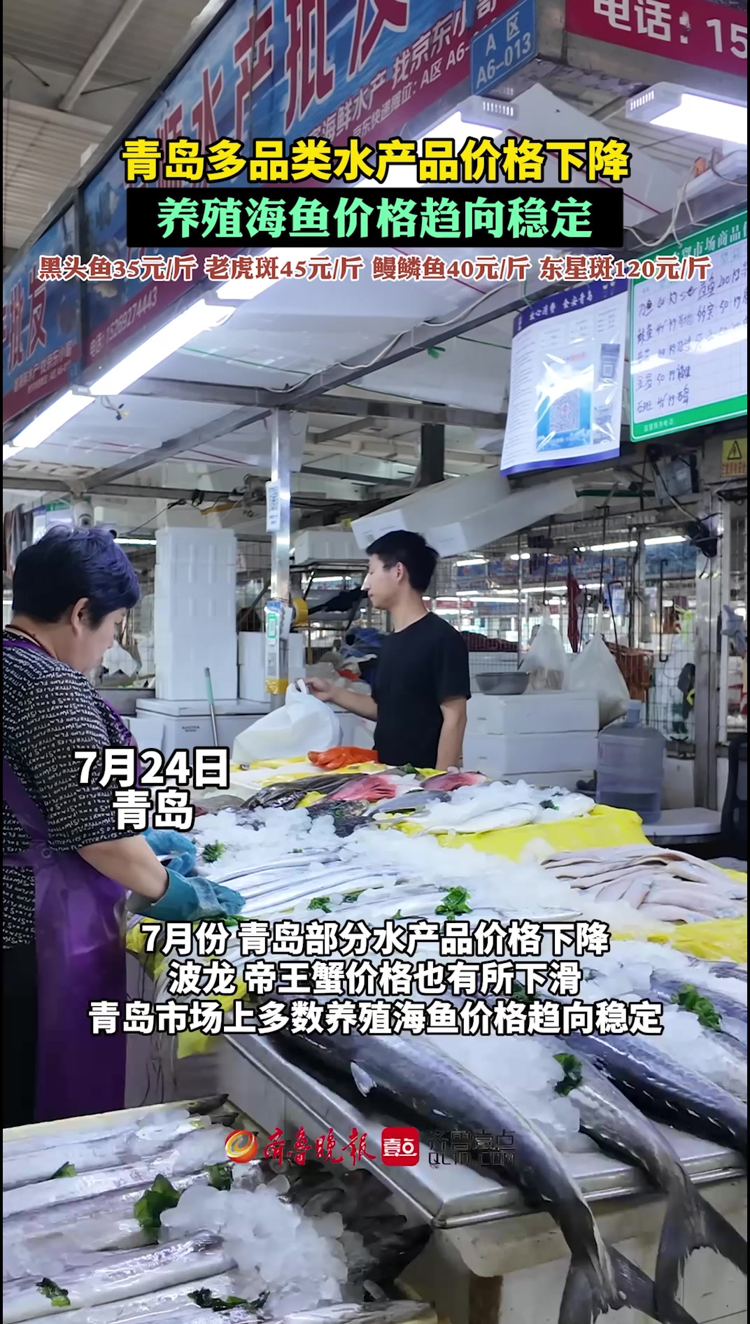 果然视频丨7月多种海鲜价格下降,青岛养殖海鱼价格趋向稳定