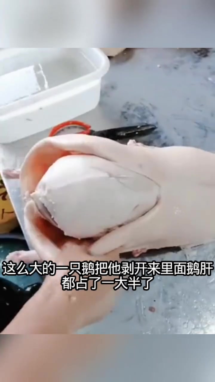 取鹅肝的过程一点肉都没