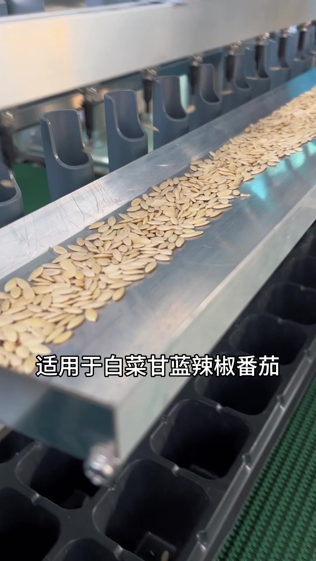 多功能蔬菜播种机!