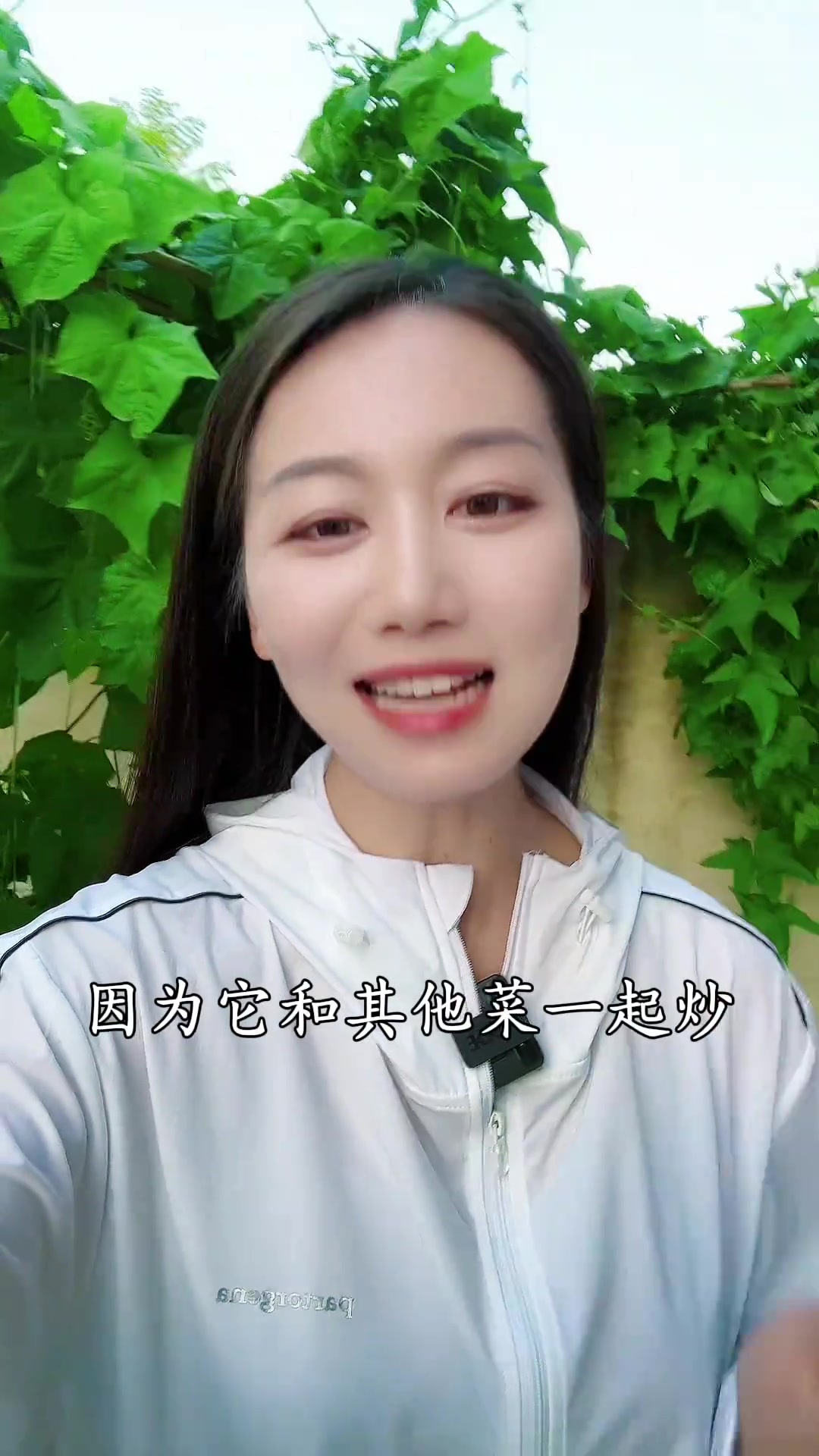 苦瓜有个很美的名字,叫君子菜。因为它和其他菜一起炒时,从不把苦味传给其他菜,就像一位真正的