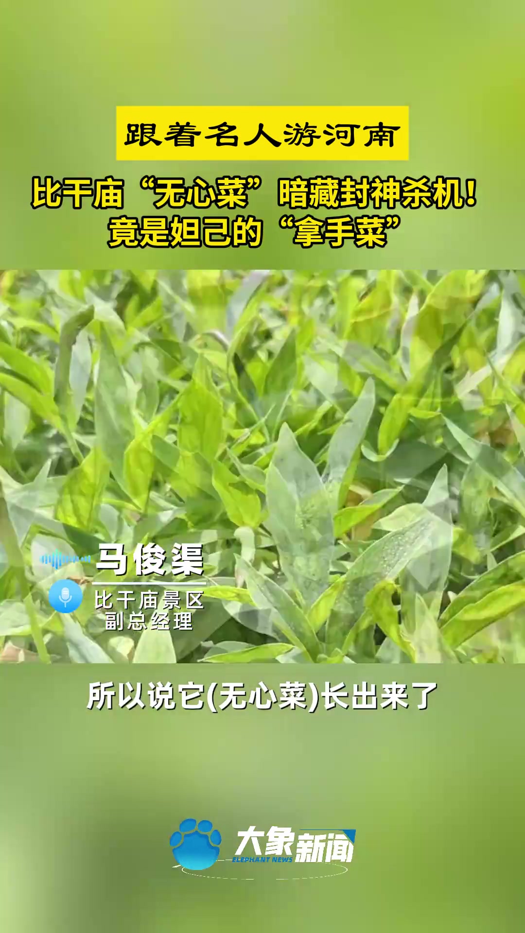 比干庙“无心菜”暗藏封神杀机！竟是妲己的“拿手菜”