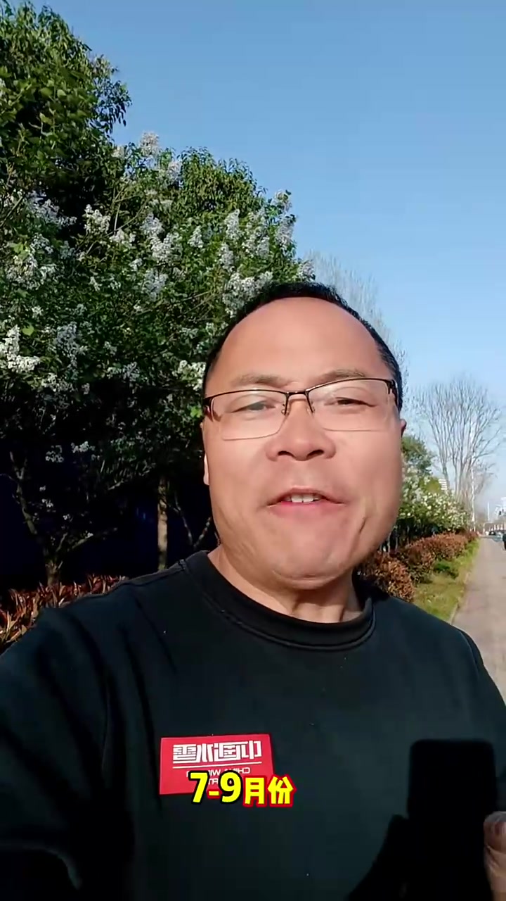 深度剖析当下猪价走势分析